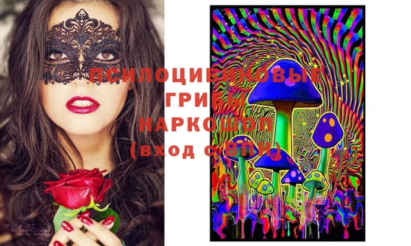 ECSTASY Болотное