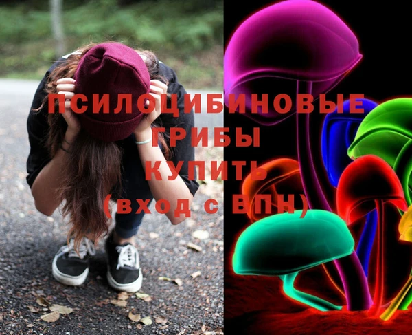 прущий лед Алзамай